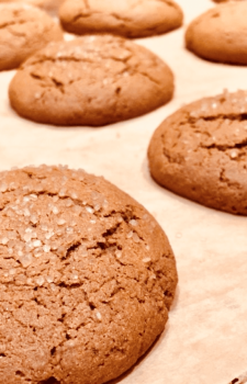 Melt-In-Your-Mouth Healthier Gluten-Free Gingerbread Cookies