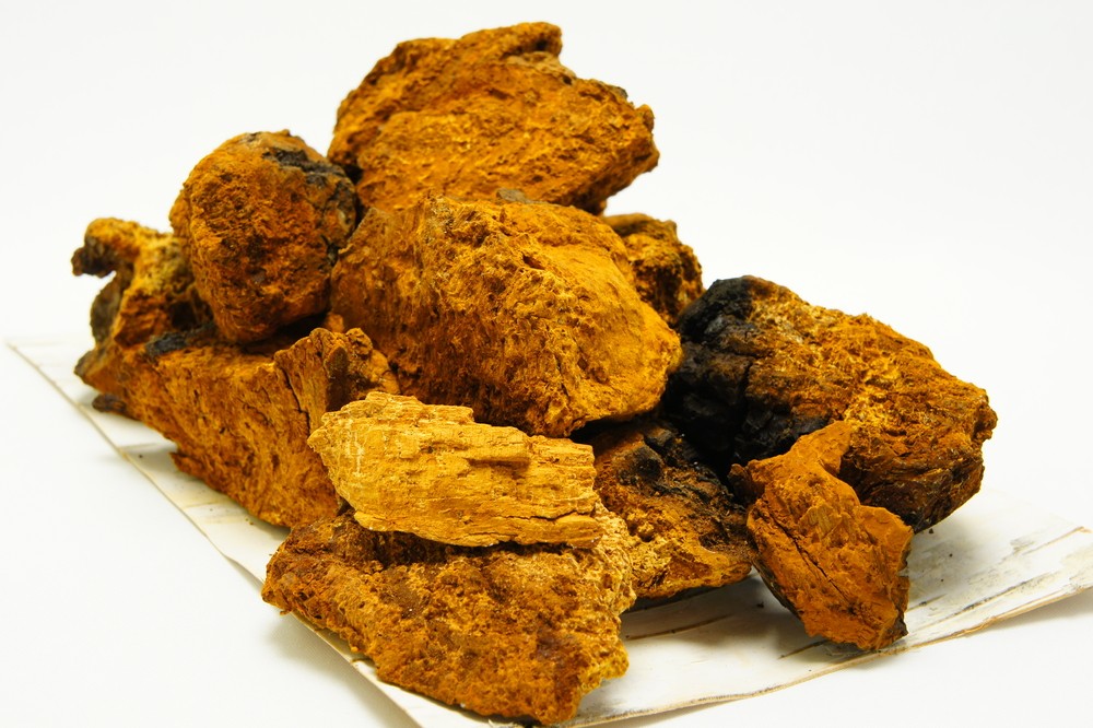 How To Brew Chaga For Immune Health