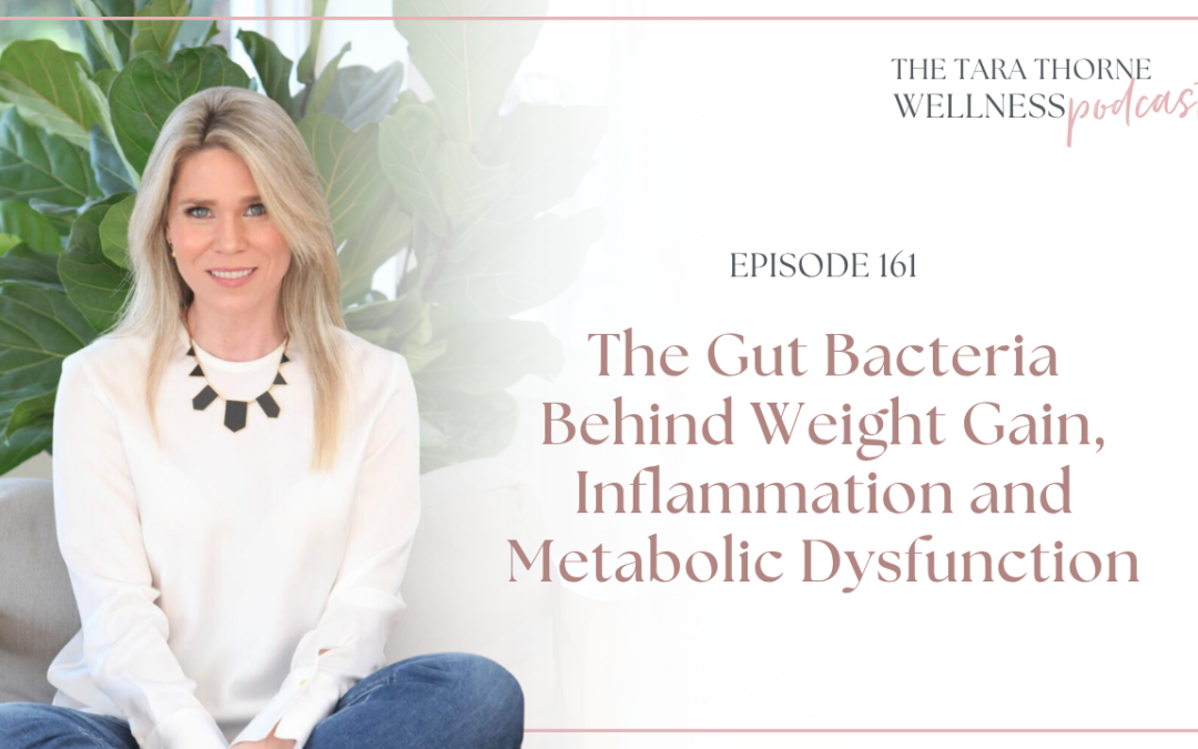 The Gut Bacteria Behind Weight Gain, Inflammation and Metabolic Dysfunction