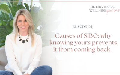 Causes of SIBO: why knowing yours prevents it coming back.